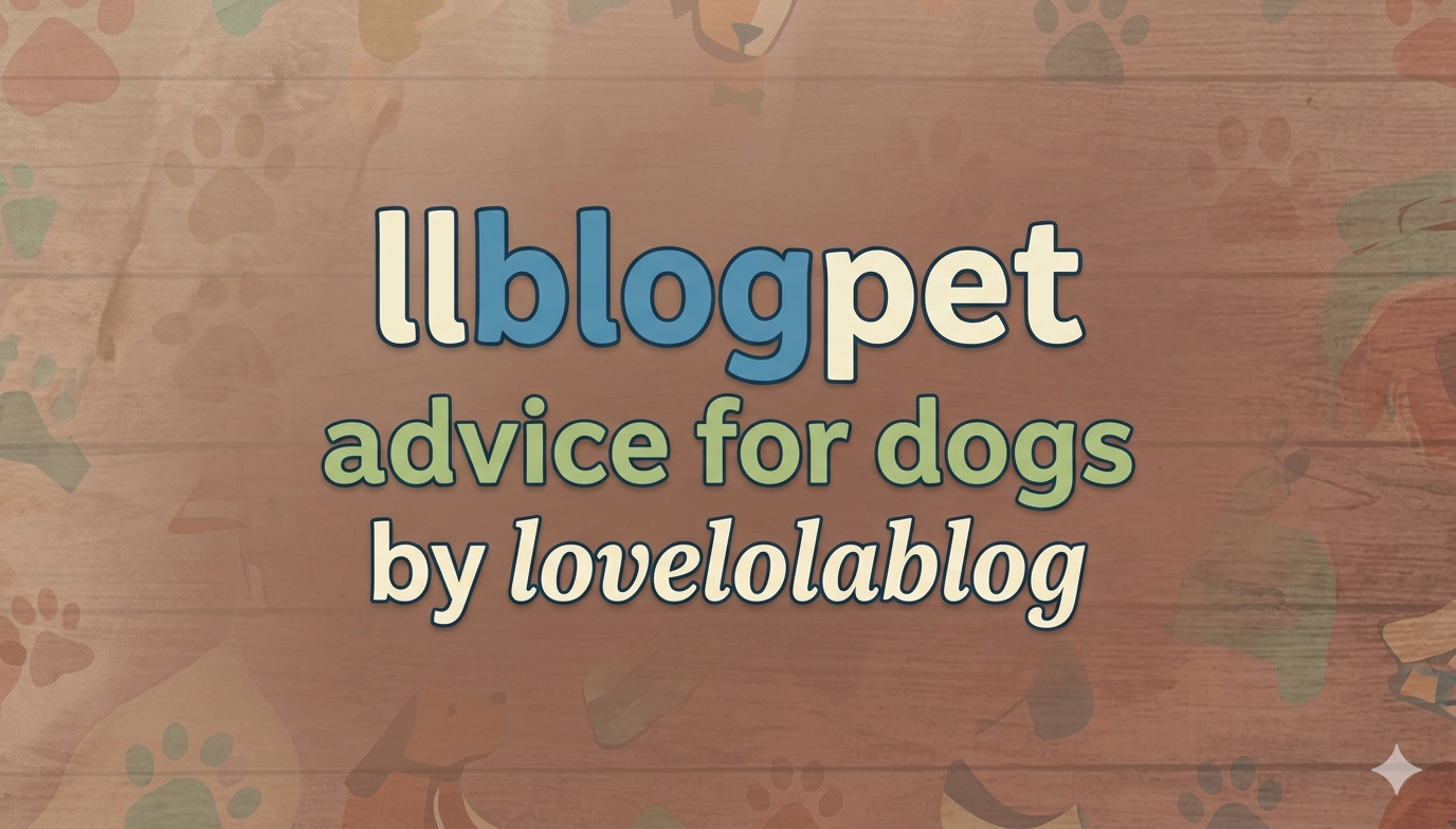 llblogpet advice for dogs by lovelolablog